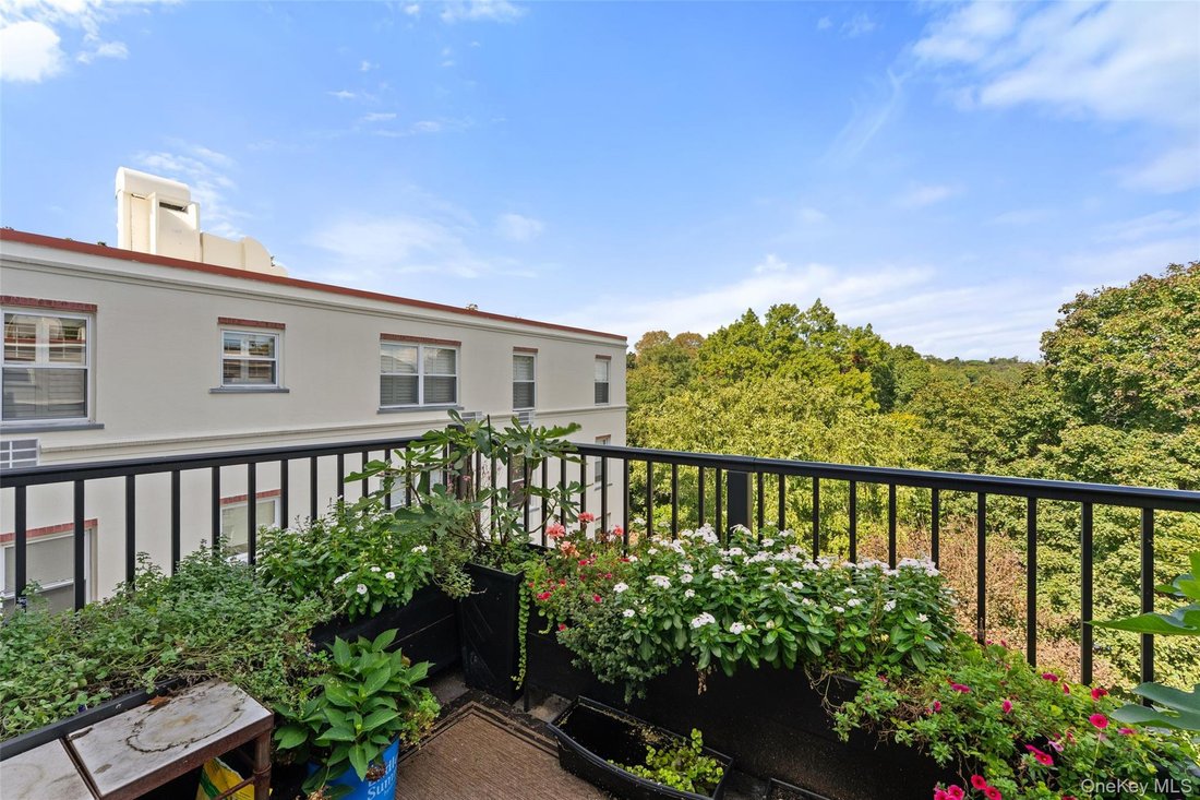 Cooperativa a Bronxville, New York, Stati Uniti 5 - 19152519