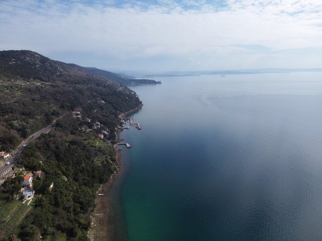Villa en Altipiano Ovest-Barcola, Trieste, Friuli-Venecia Julia 4 - 19112908