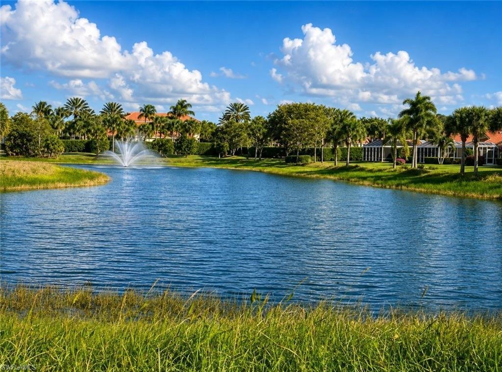 House in Estero, Florida, United States 1 - 19156232