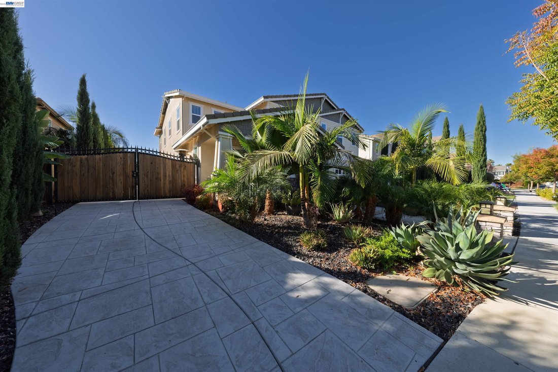 House in Brentwood, California, United States 3 - 19155164