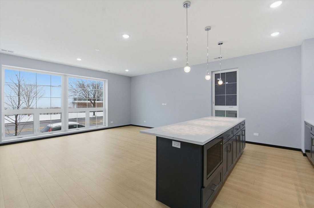 Appartement à Chicago, Illinois, États-Unis 4 - 19155572