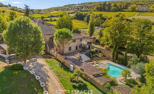 Villa in Theize, Auvergne-Rhone-Alpen, Frankreich 1