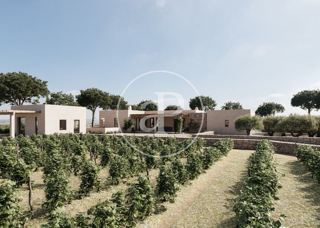 Appartement à Formentera, Îles Baléares, Espagne 4 - 19158502