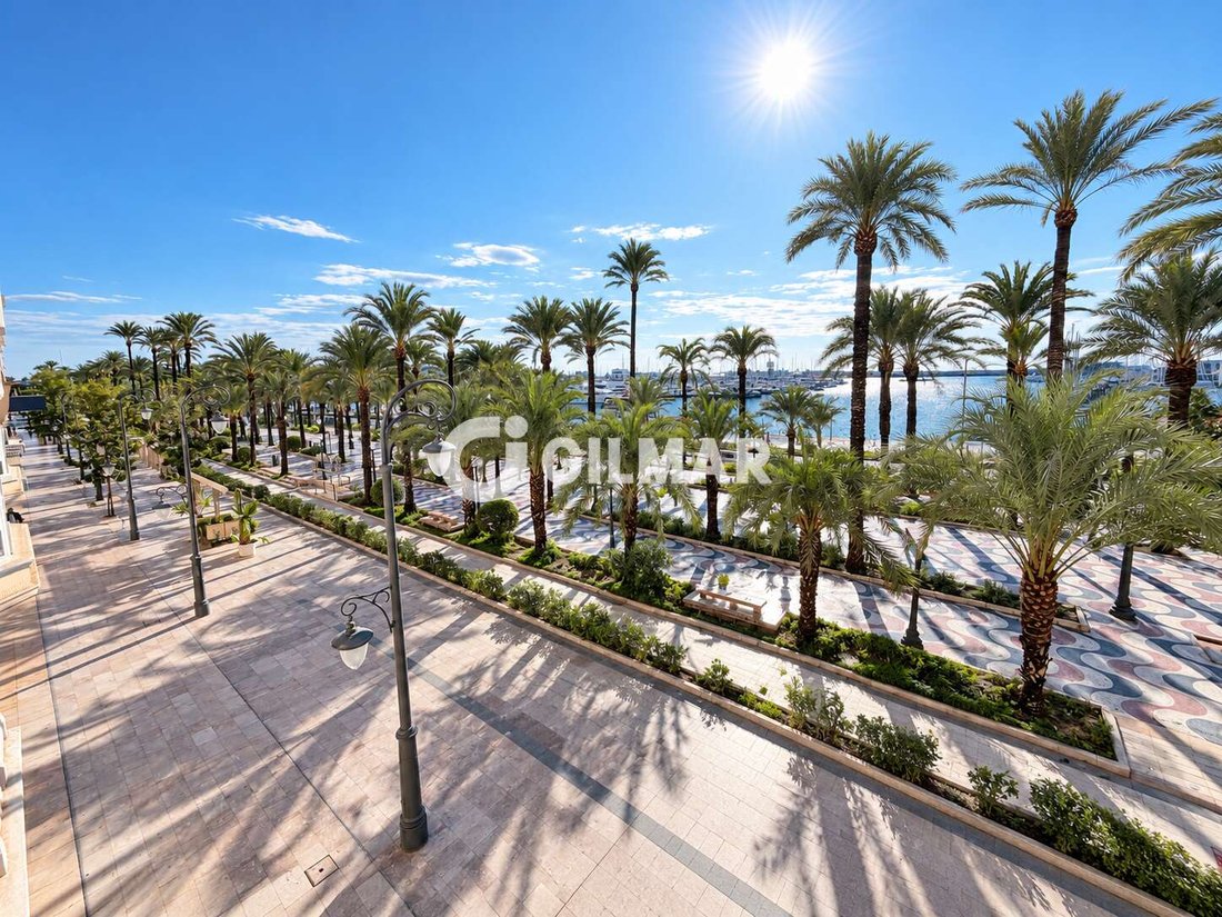 Apartment in Alicante, Valencian Community, Spain 1 - 19158216
