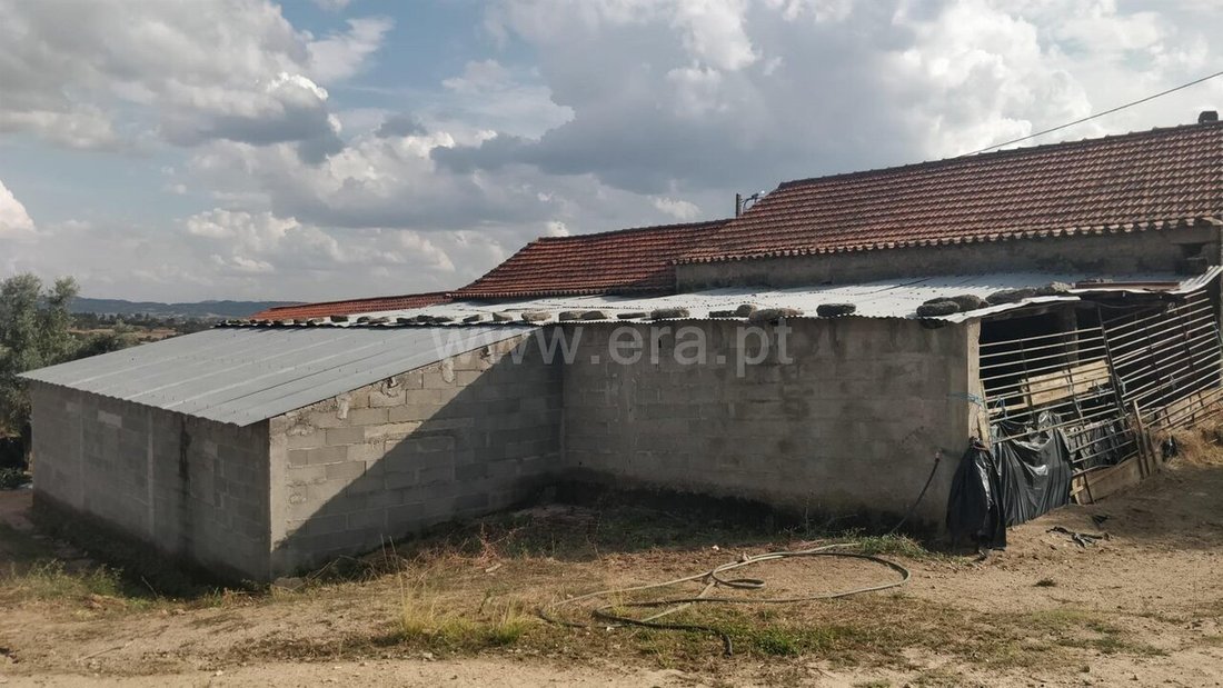 Farm Ranch in Teixoso e Sarzedo, Castelo Branco District, Portugal 2 - 19158624