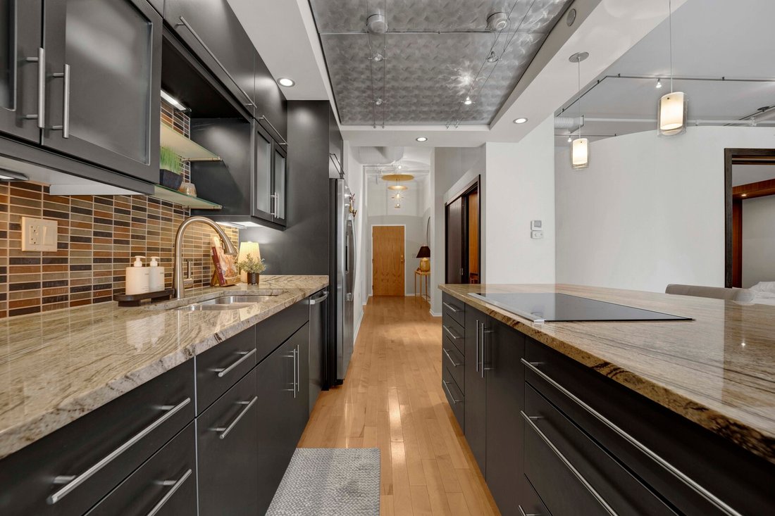 Appartement à Chicago, Illinois, États-Unis 5 - 19158955