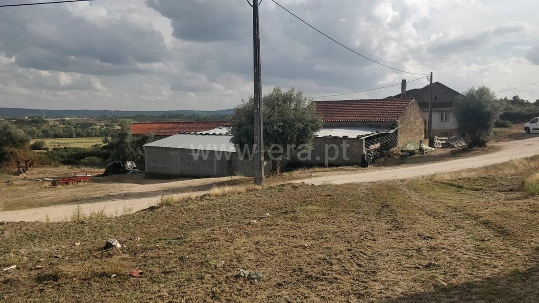 Farm Ranch in Teixoso e Sarzedo, Castelo Branco District, Portugal 5 - 19158624