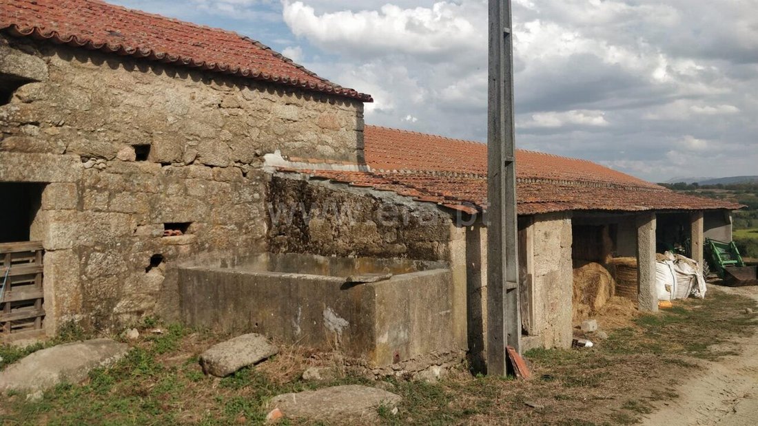 Farm Ranch in Teixoso e Sarzedo, Castelo Branco District, Portugal 4 - 19158624