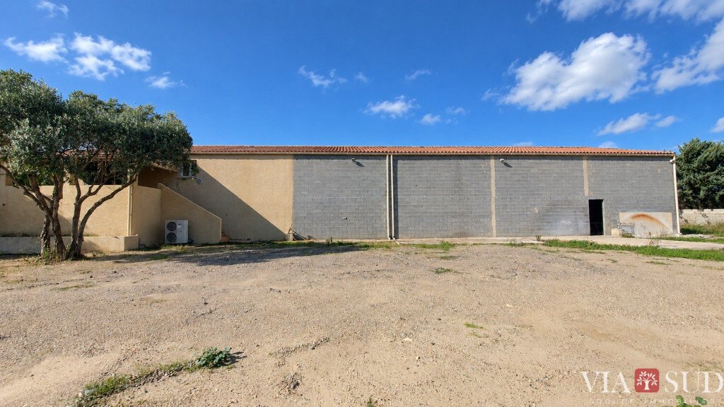 Casa a Puissalicon, Occitania, Francia 1 - 19158652