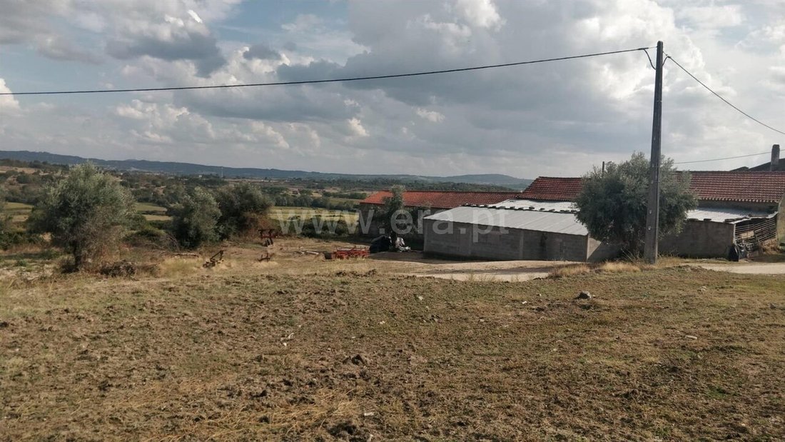 Farm Ranch in Teixoso e Sarzedo, Castelo Branco District, Portugal 1 - 19158624