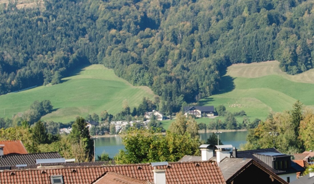 Penthouse in Zell am Moos, Upper Austria, Austria 3 - 19159021