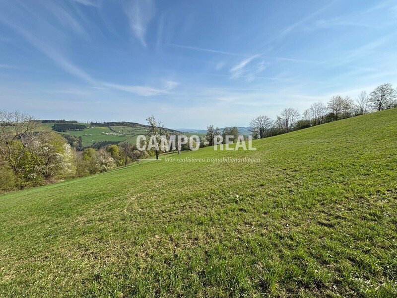 Eschenau, Lower Austria, Austria 4 - 19159083