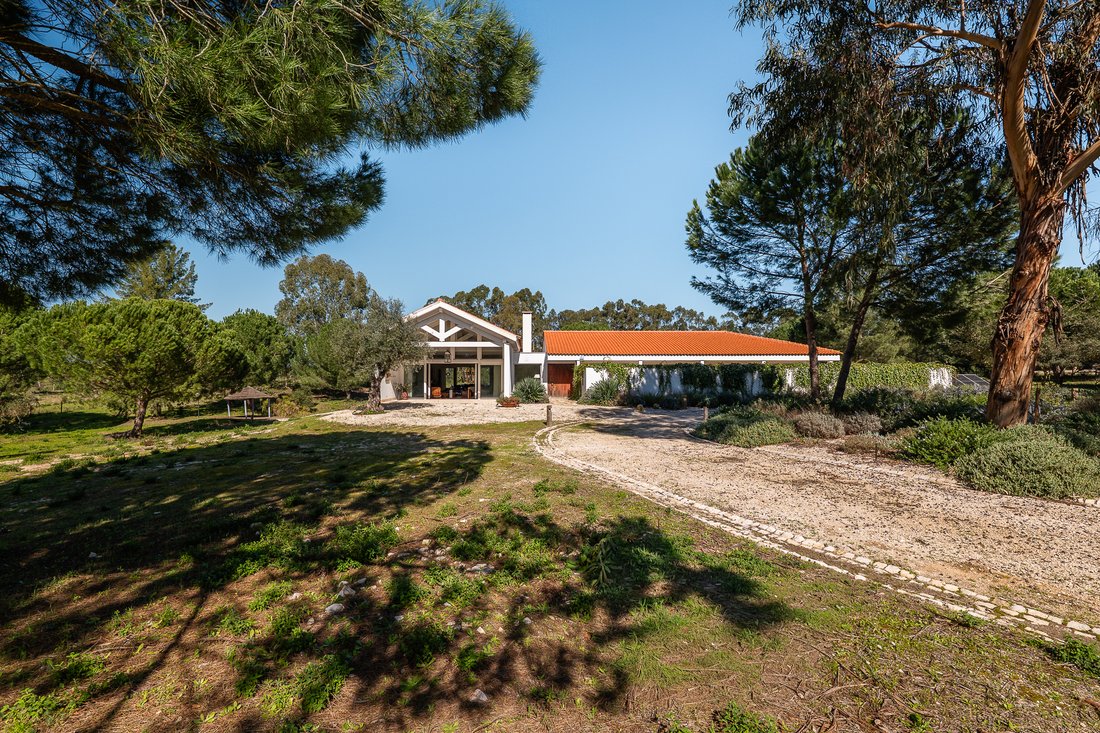 House in Santo Estevao, Santarem District, Portugal 3 - 19159720