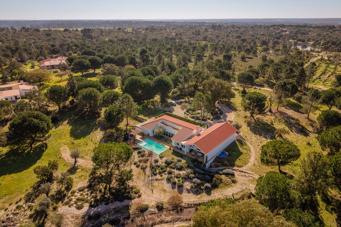 House in Santo Estevao, Santarem District, Portugal 1 - 19159720