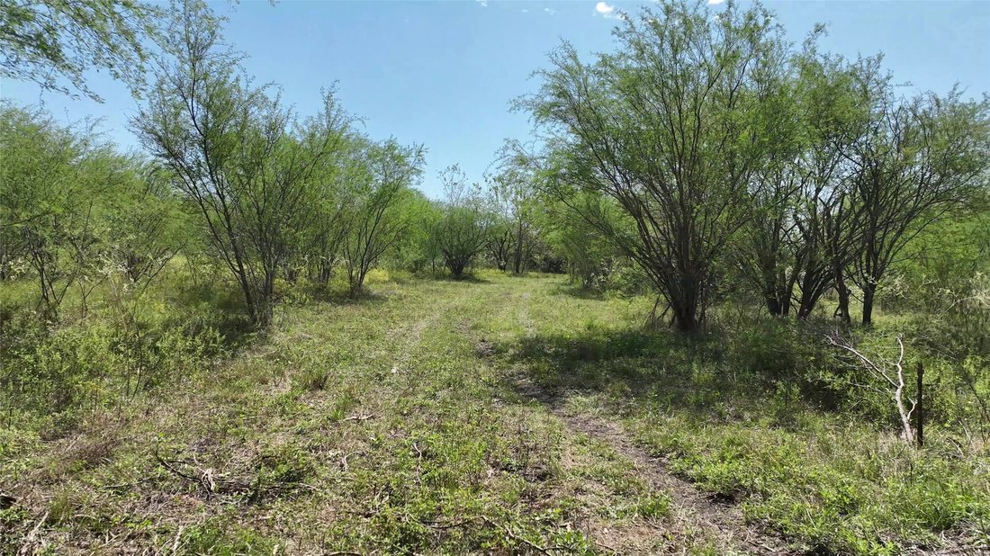 Terreno en Washington, Texas, Estados Unidos 3 - 19164833