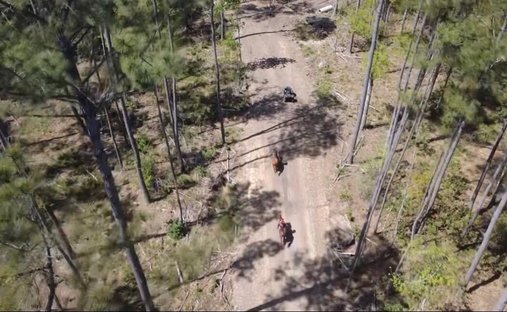 Terreno a McClellanville, Carolina del Sud, Stati Uniti 1