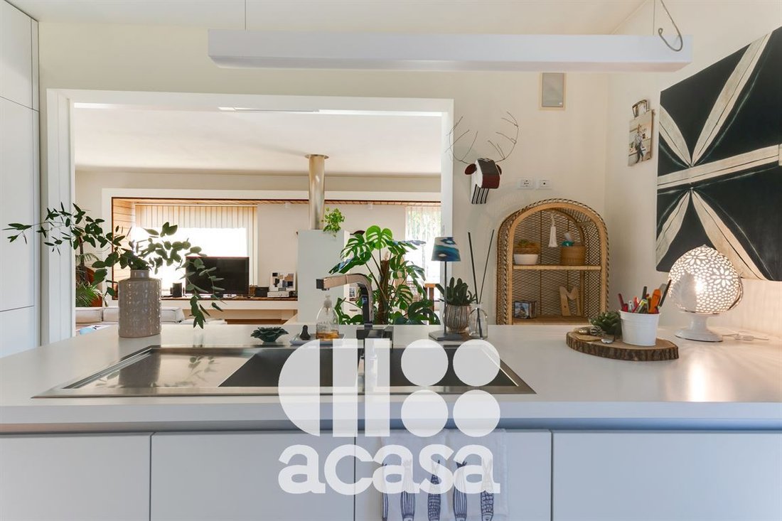 Villa in Valverde - Villamarina, Cesenatico, Emilia-Romagna 5 - 19162392