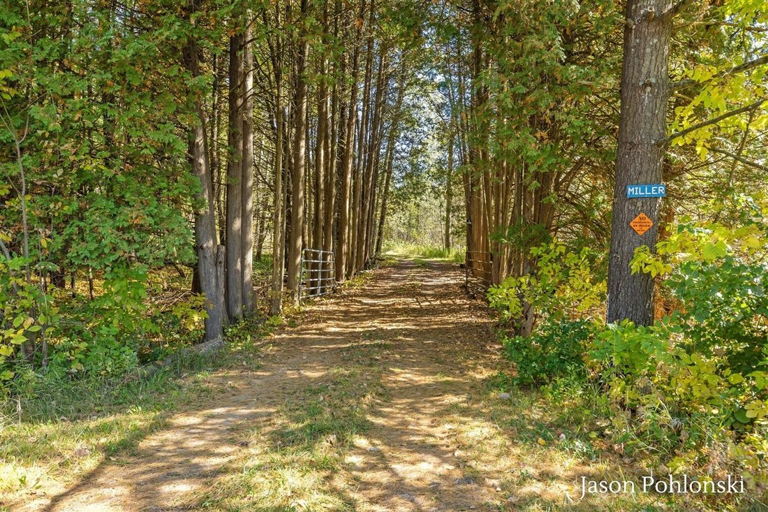 Land in Morley, Michigan, Vereinigte Staaten 5 - 19161643