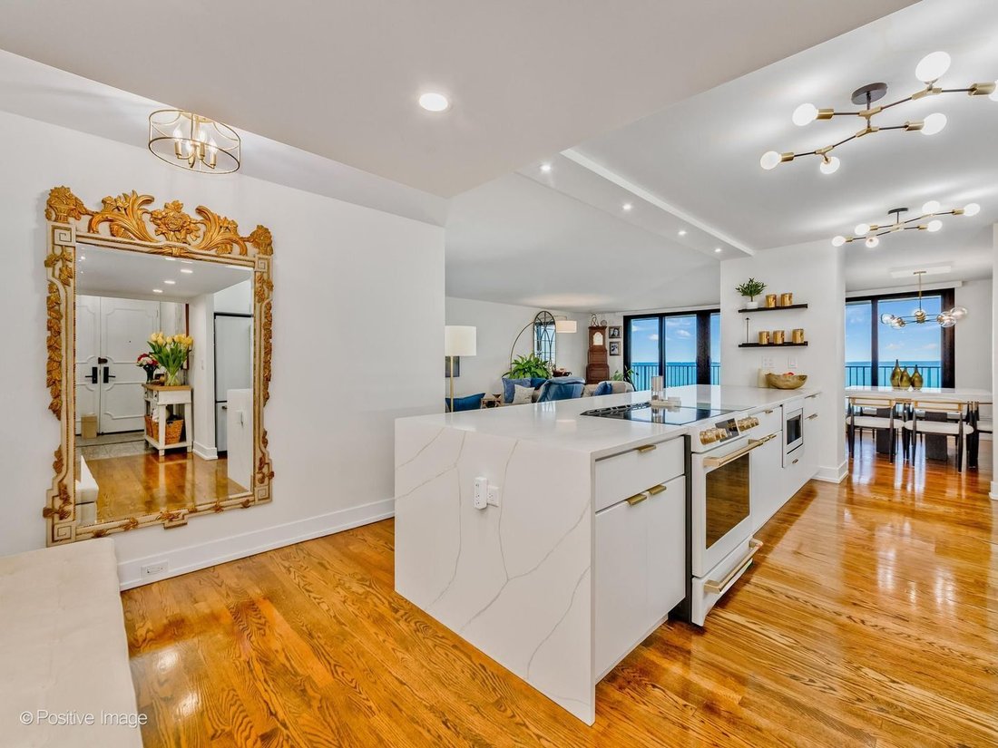 Appartement à Chicago, Illinois, États-Unis 5 - 19163599