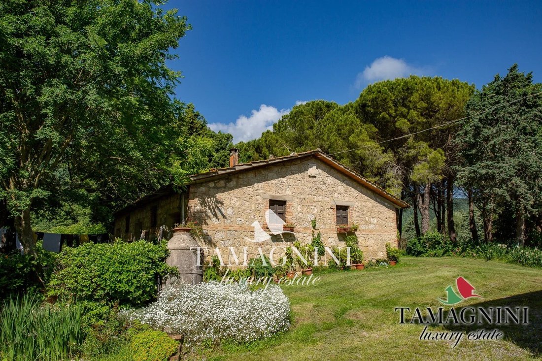 Altro a Cetona, Toscana, Italia 4 - 19165646