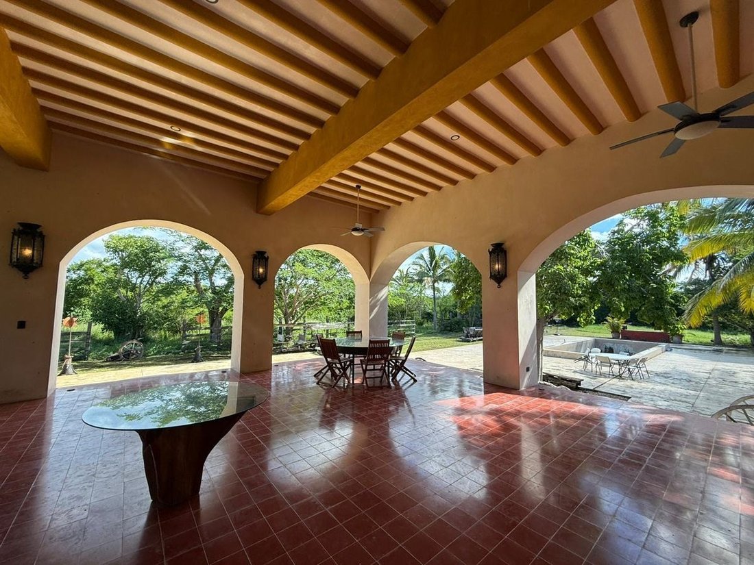 Farm Ranch in Baca, Yucatan, Mexico 3 - 19165506