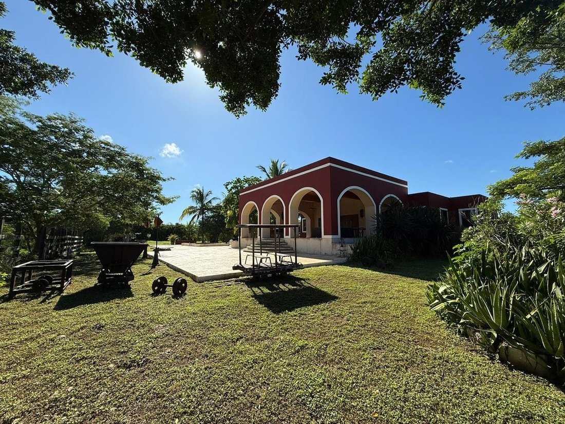 Farm Ranch in Baca, Yucatan, Mexico 1 - 19165506