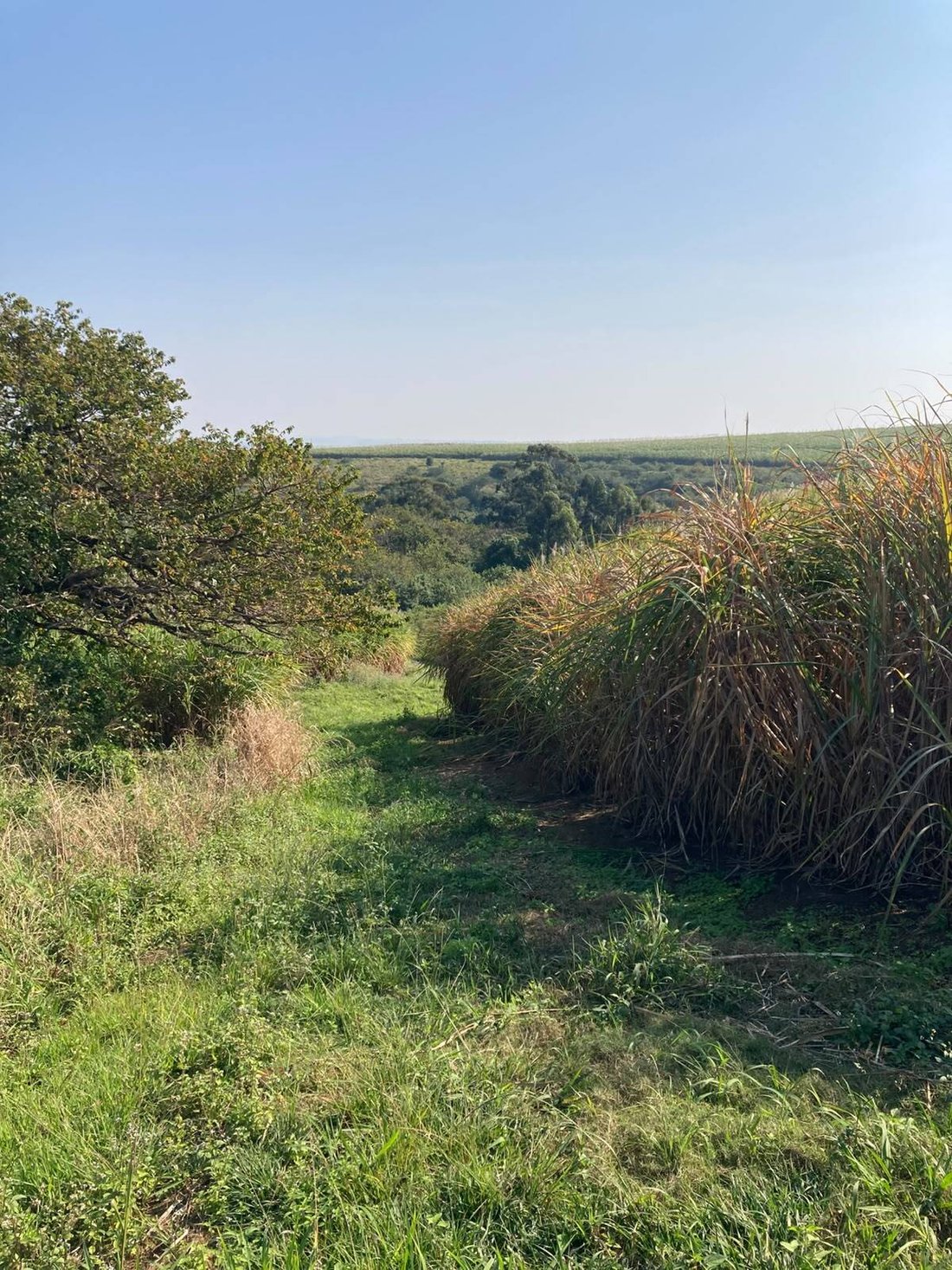 Farm Ranch in KwaDukuza, KwaZulu-Natal, Südafrika 1 - 19161788