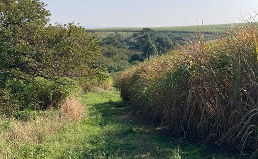 Rancho en KwaDukuza, KwaZulu-Natal, Sudáfrica 1