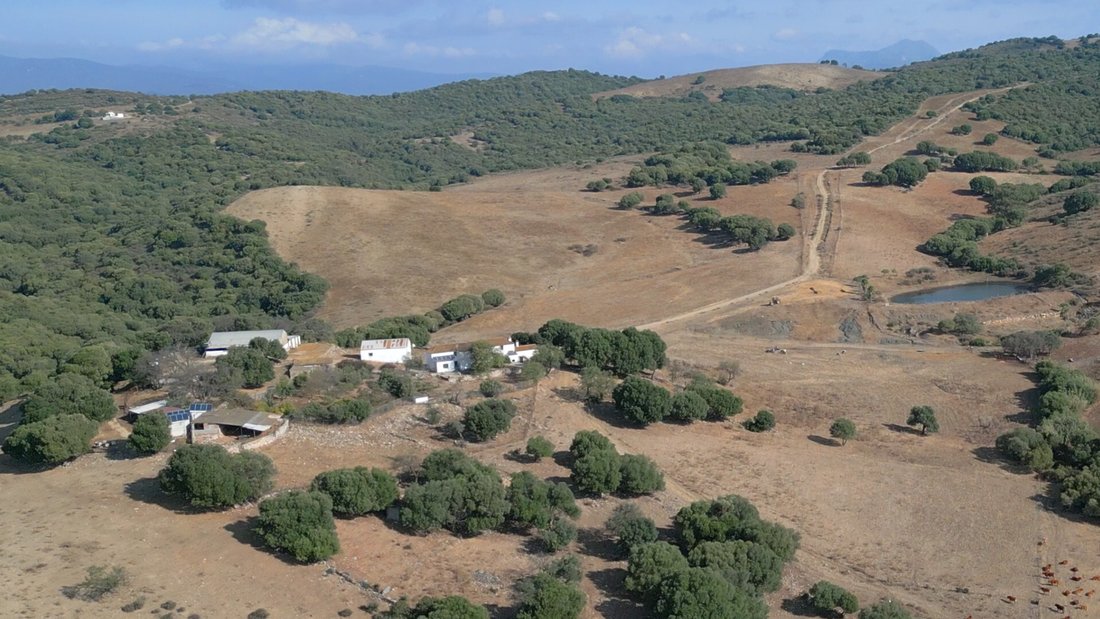 Finca in San Martin del Tesorillo, Andalusia, Spain 5 - 19162674