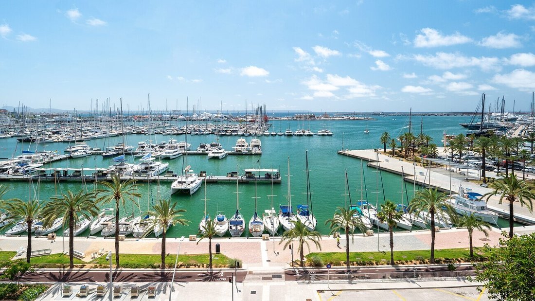 Apartamento en Palma, Islas Baleares, España 1 - 18150340