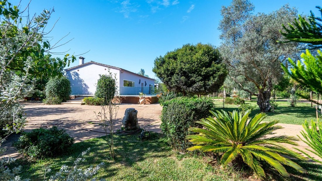 Farm Ranch in Binissalem, Balearische Inseln, Spanien 1 - 16528952