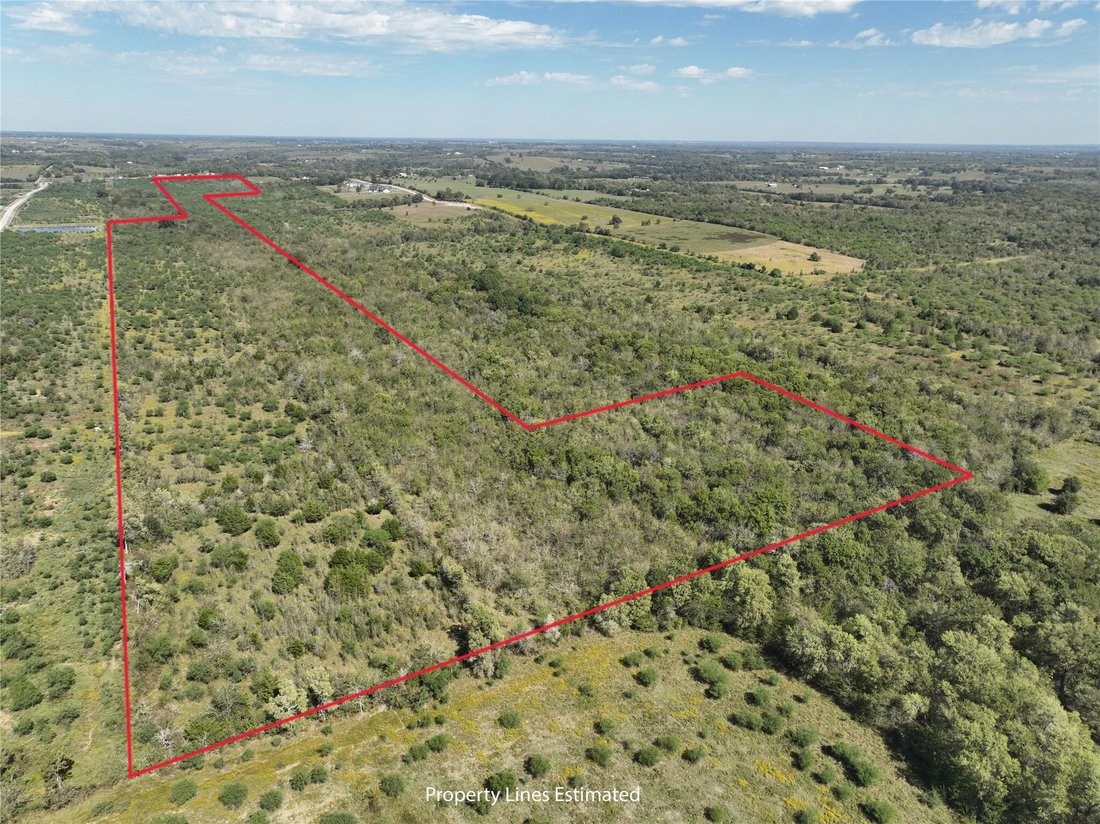 Terreno en Washington, Texas, Estados Unidos 4 - 19164833