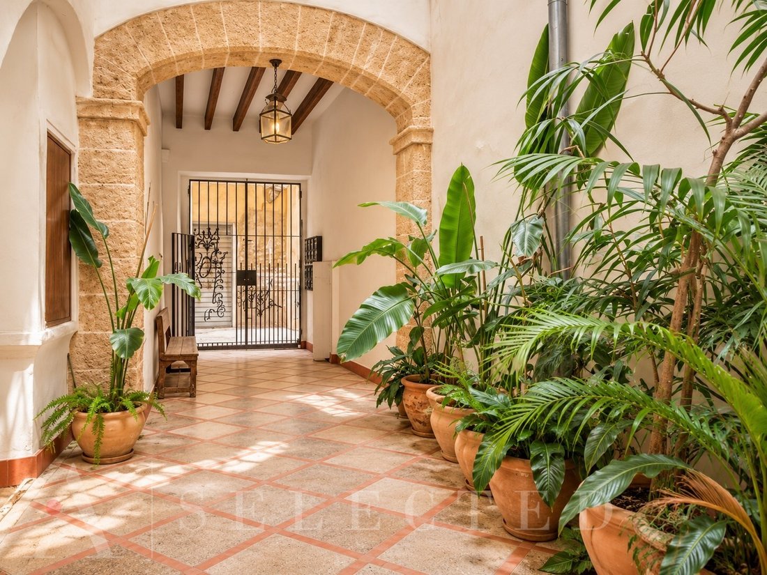 Appartement à Palma, Îles Baléares, Espagne 1 - 19161344