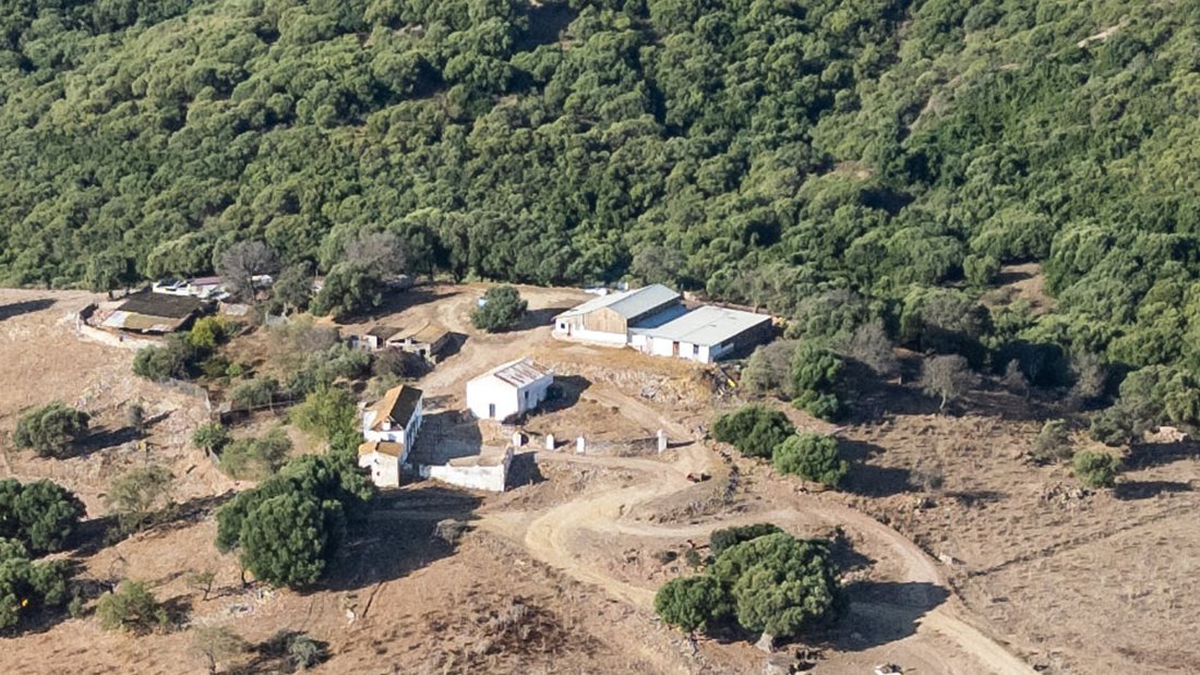 Finca in San Martin del Tesorillo, Andalusia, Spain 2 - 19162674