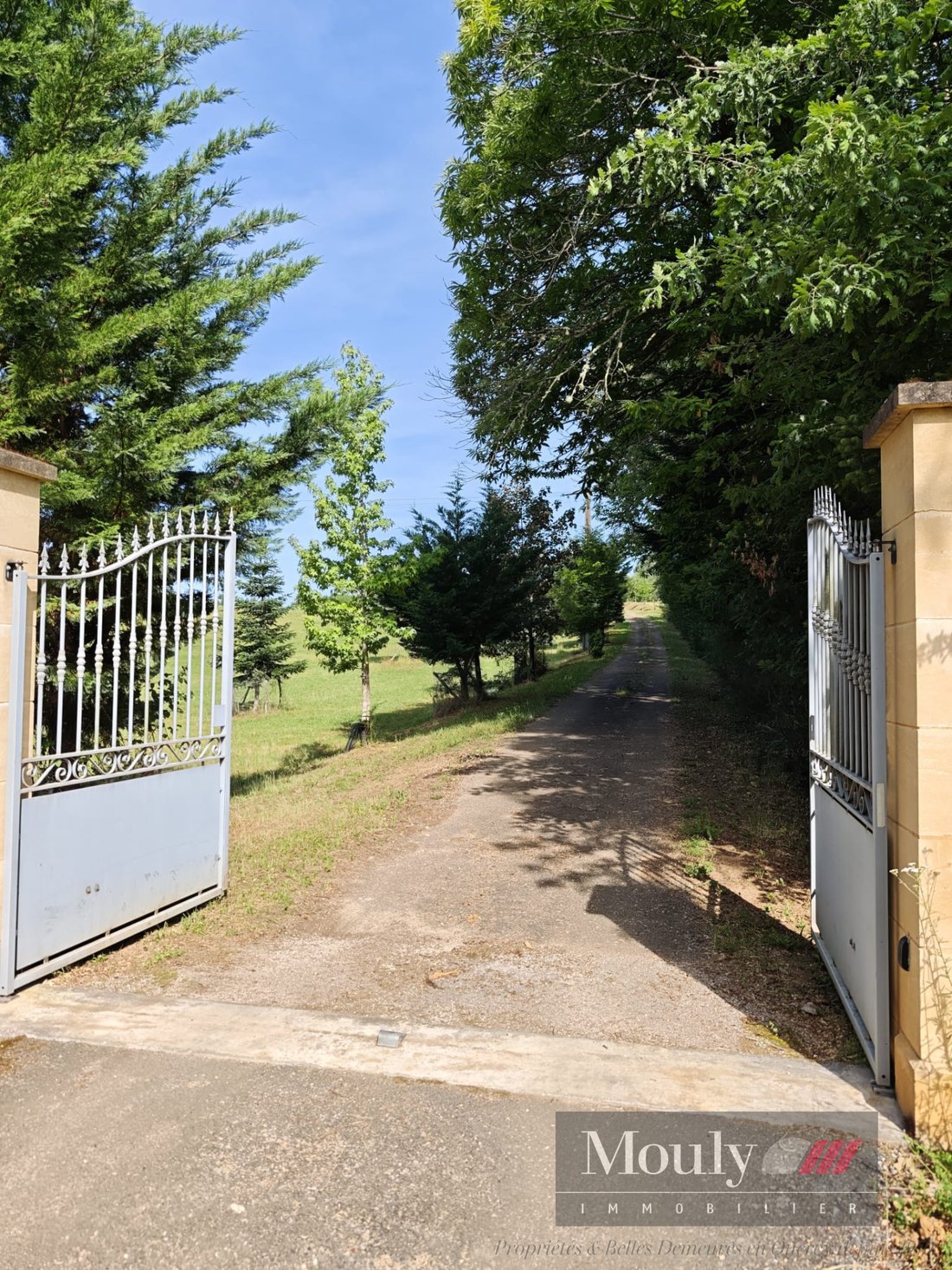 Estate in Villefranche-du-Perigord, Nouvelle-Aquitaine, France 4 - 19164260