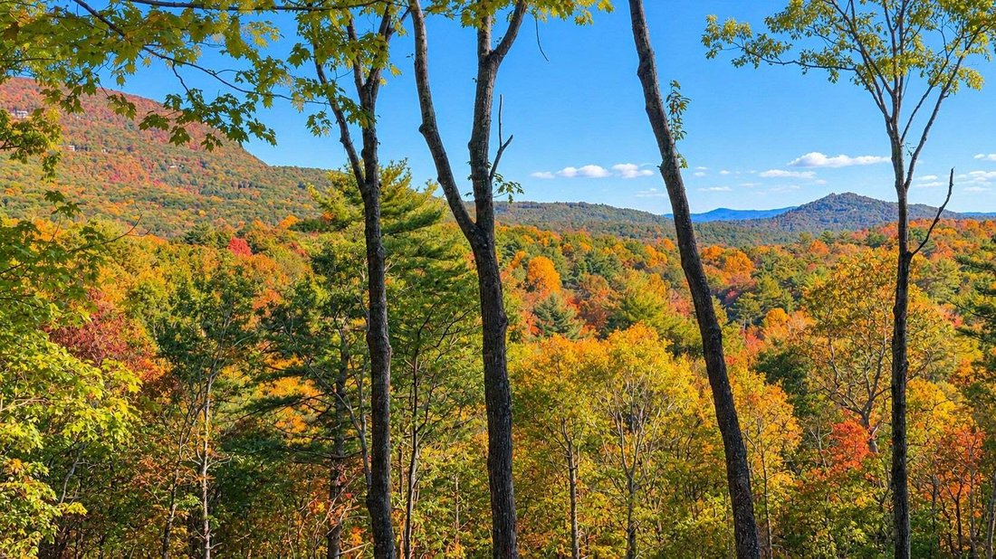 Casa en Cashiers, Carolina del Norte, Estados Unidos 3 - 17836364