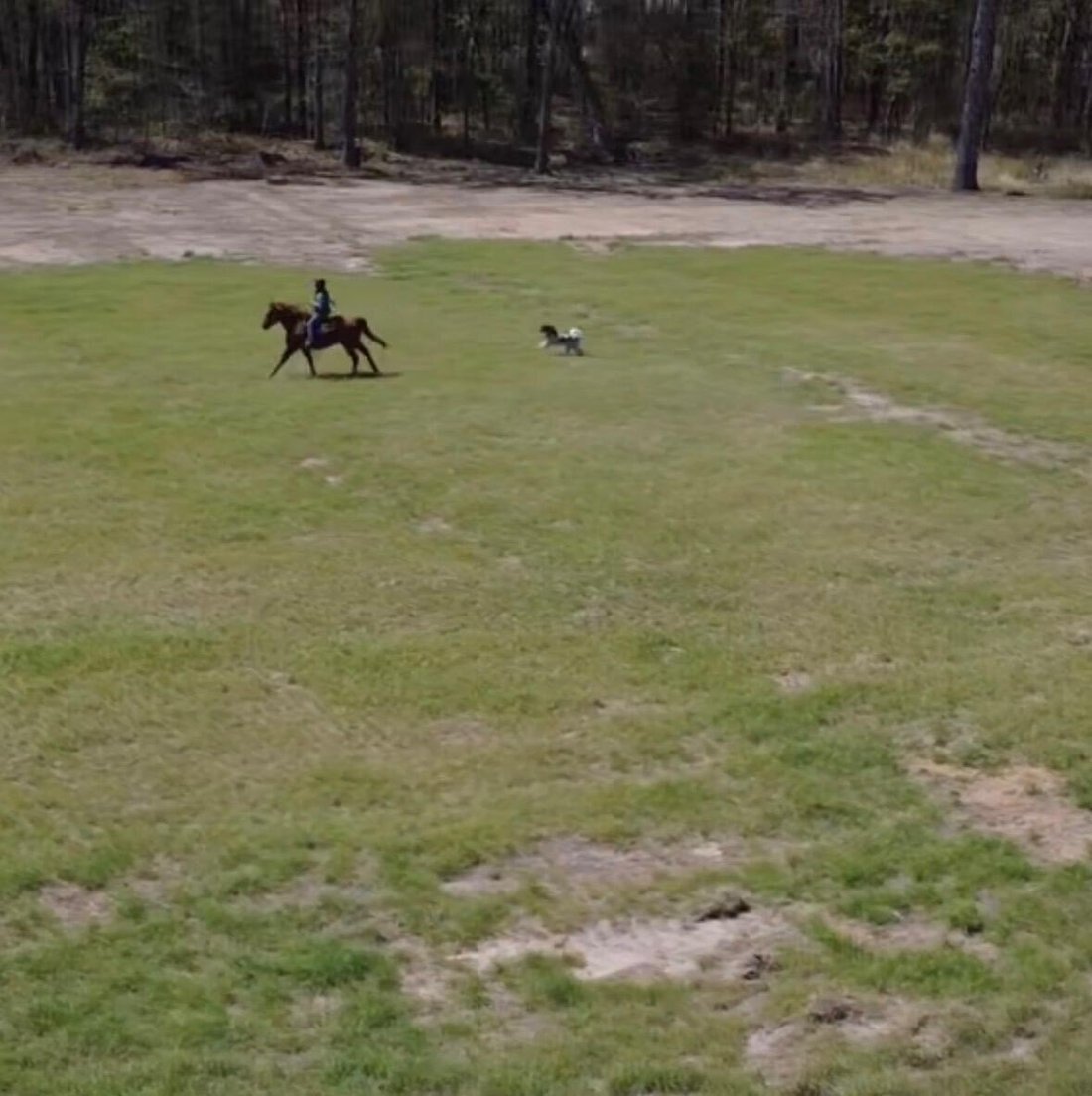 Land in McClellanville, South Carolina, United States 4 - 19165802