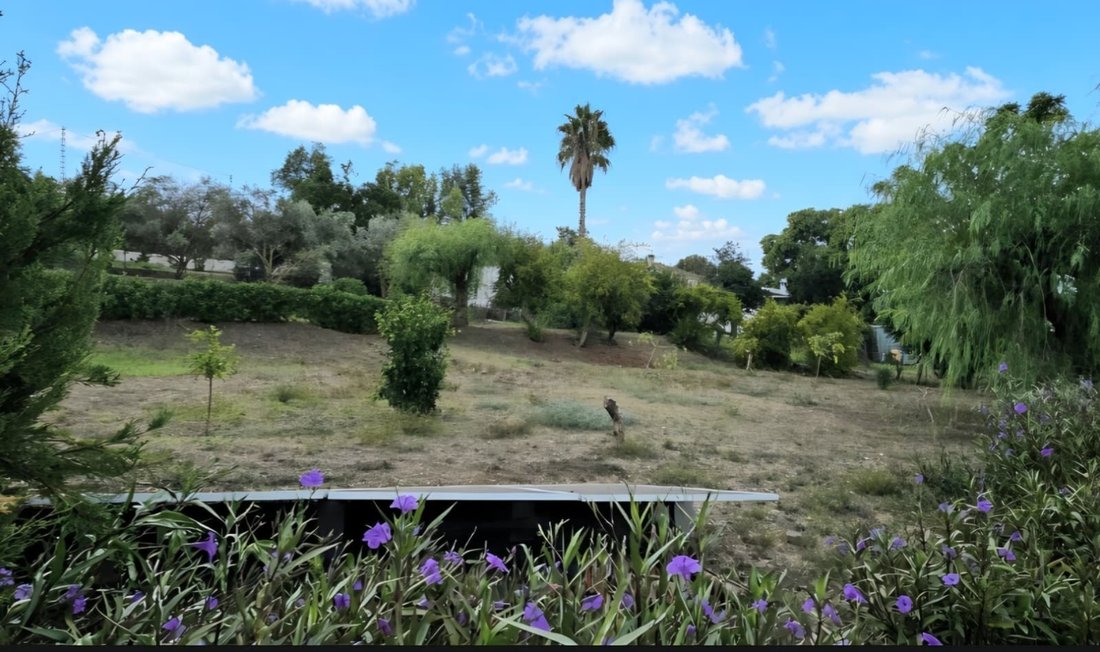 Casa de Campo en Coín, Andalucía, España 5 - 19164672