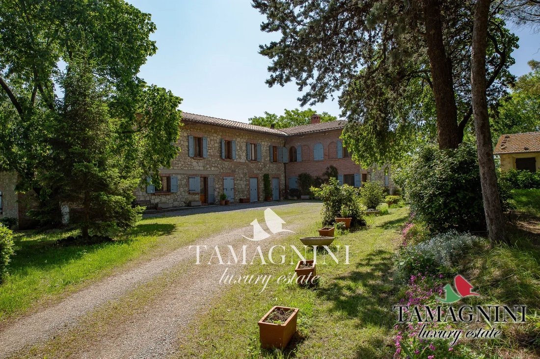 Altro a Cetona, Toscana, Italia 1 - 19165646