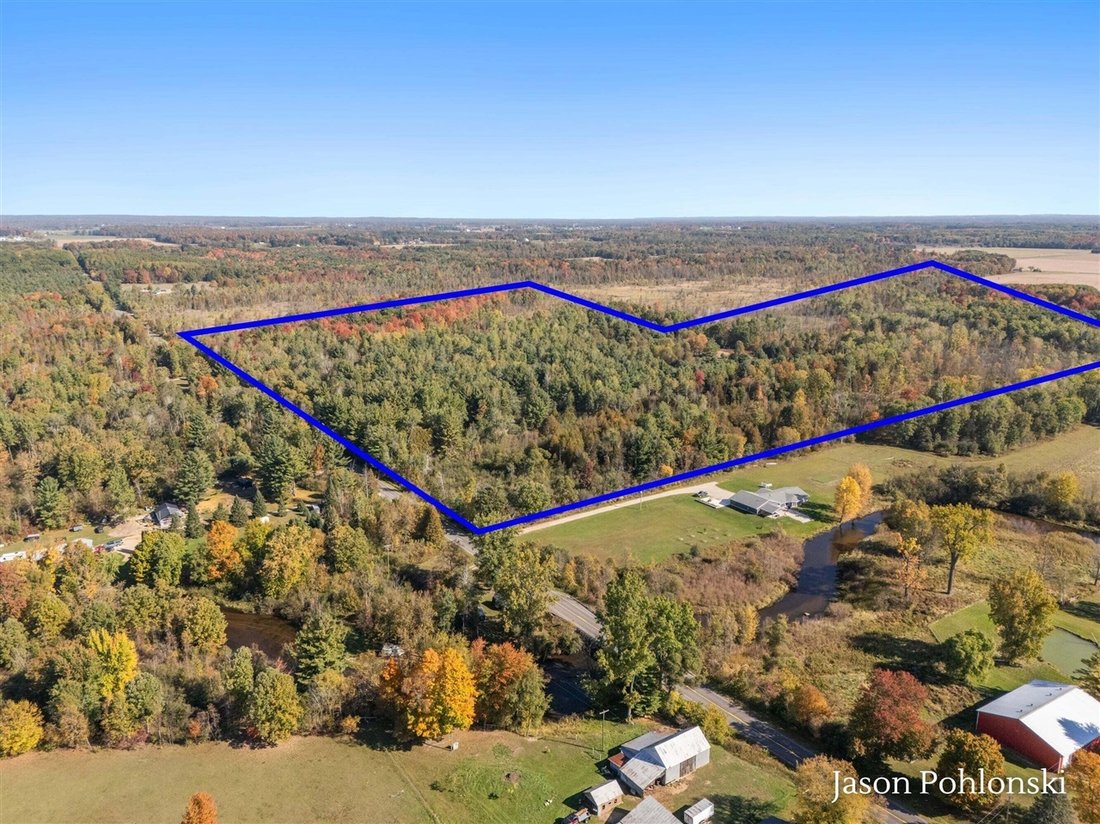Land in Morley, Michigan, Vereinigte Staaten 1 - 19161643