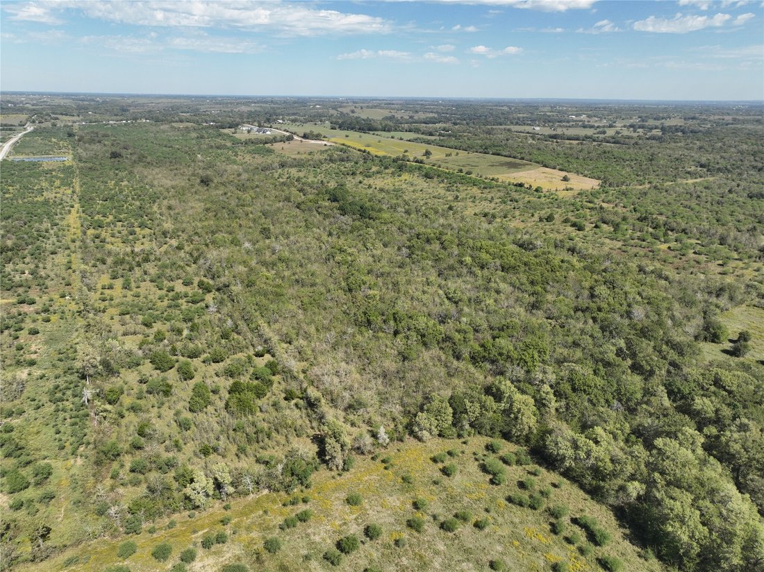 Terreno en Washington, Texas, Estados Unidos 5 - 19164833