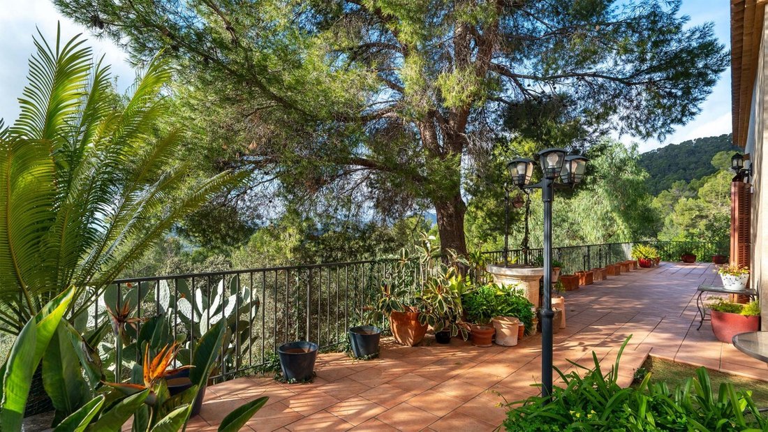 Farm Ranch in Bunyola, Balearische Inseln, Spanien 4 - 16959185
