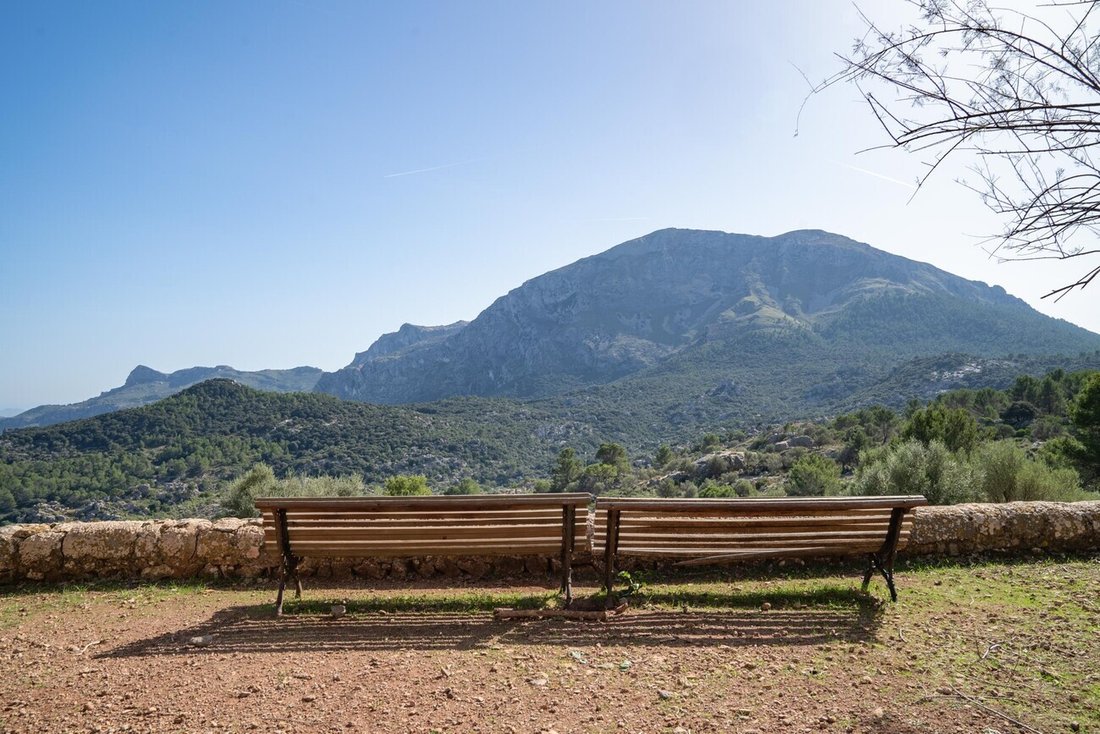 Farm Ranch in Escorca, Balearische Inseln, Spanien 5 - 13888410