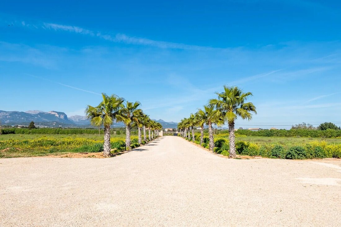 Farm Ranch in Santa Maria del Camí, Balearische Inseln, Spanien 4 - 12652354
