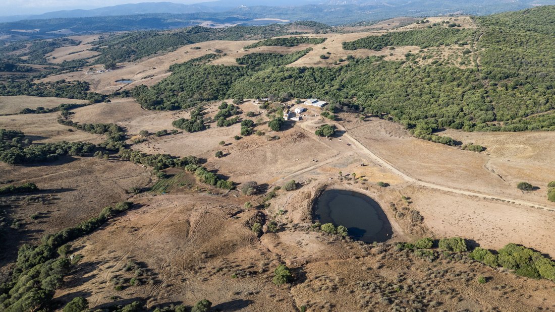 Finca in San Martin del Tesorillo, Andalusia, Spain 1 - 19162674