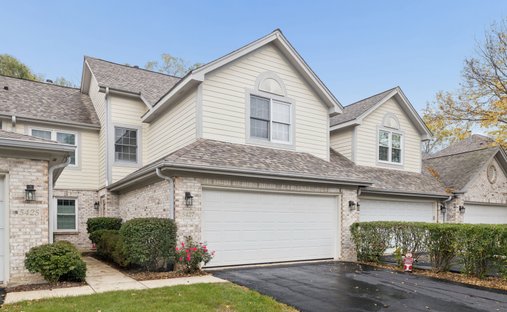 Maison de ville à Downers Grove, Illinois, États-Unis 1
