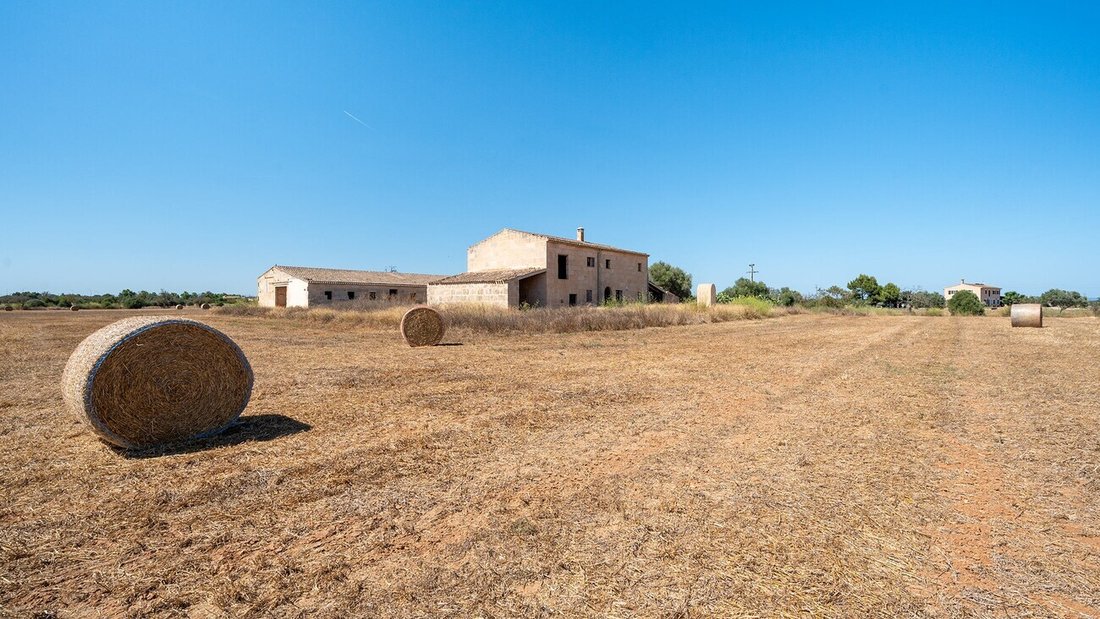 Corps de ferme à Campos, Îles Baléares, Espagne 2 - 13057555
