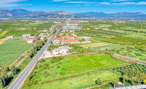 Land in Argos, Peloponnese, Western Greece and the Ionian, Greece 1