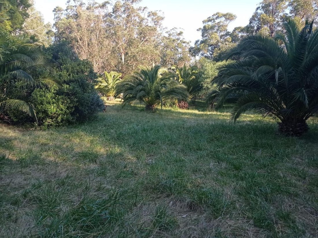 Land in Solís, Maldonado Department, Uruguay 3 - 19164893