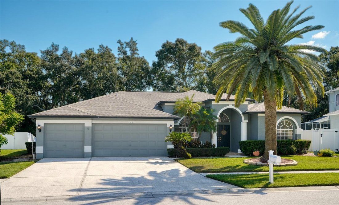 Maison à Odessa, Florida, Floride, États-Unis 1 - 19160469